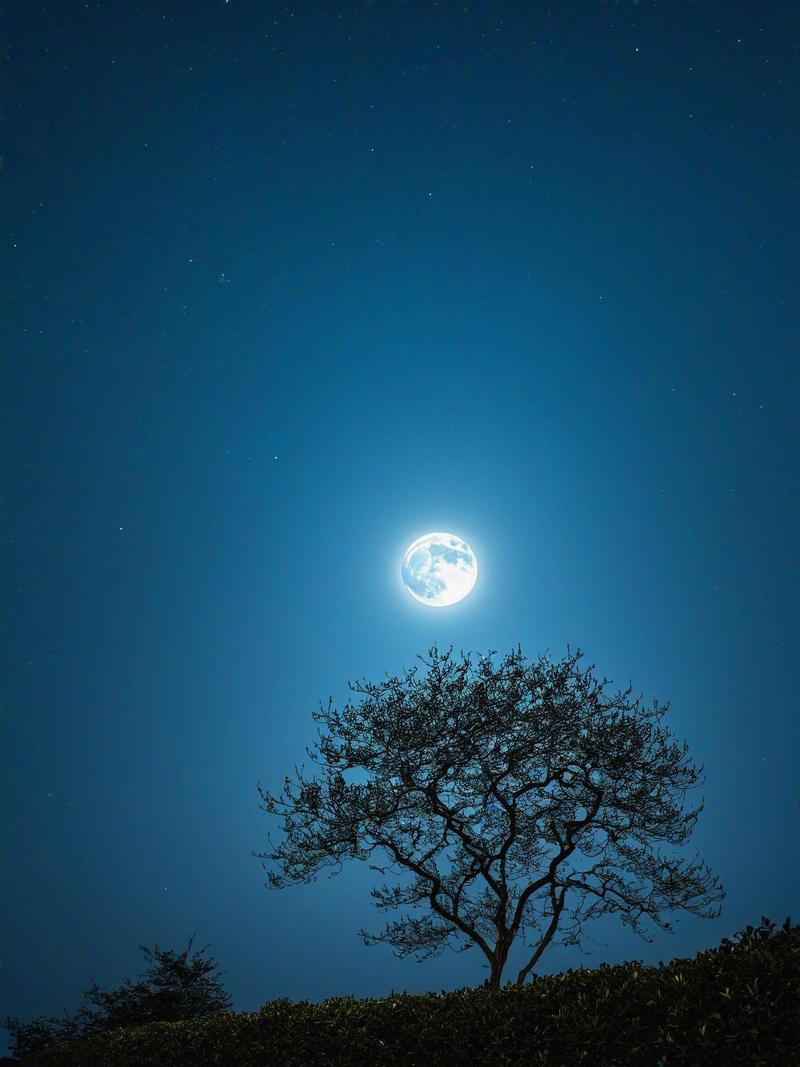 走山村夜晚的路，有什么难忘的经历吗，田里村 概况。